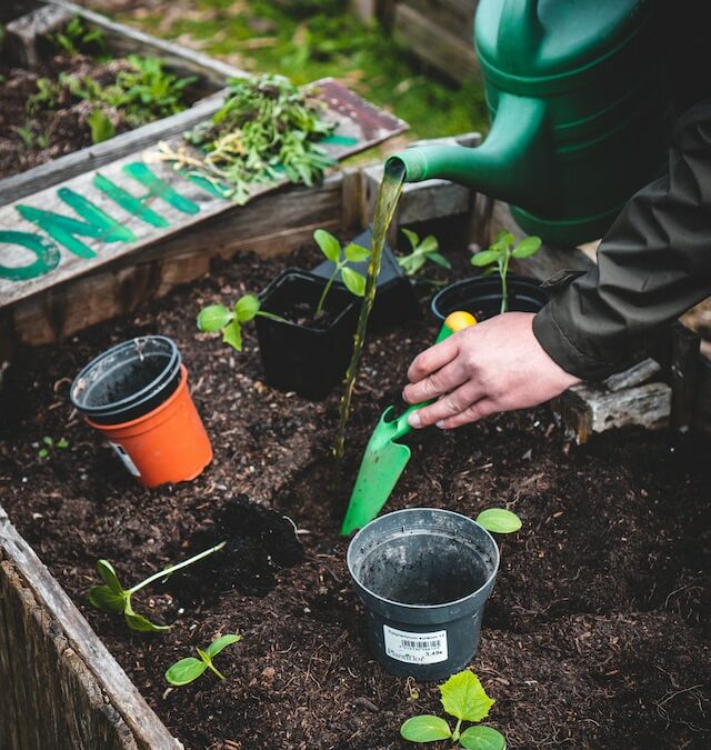 Organic Gardening Woes? Try These Great Ideas!